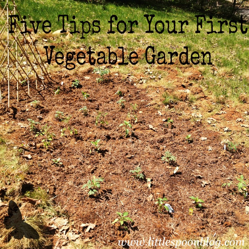 Five Tips For Your First Vegetable Garden